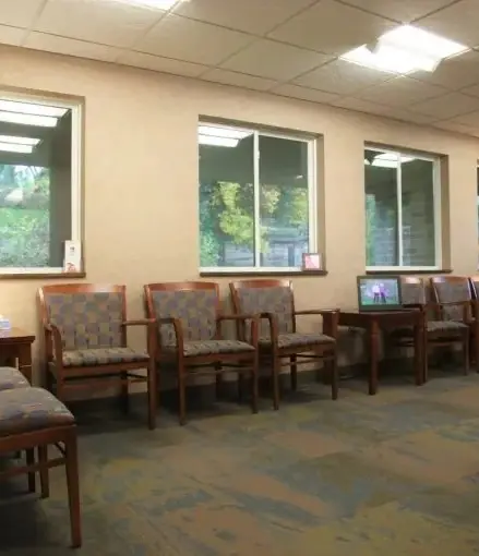 The sitting area at Tonka Smiles, with chairs beneath a row of windows.